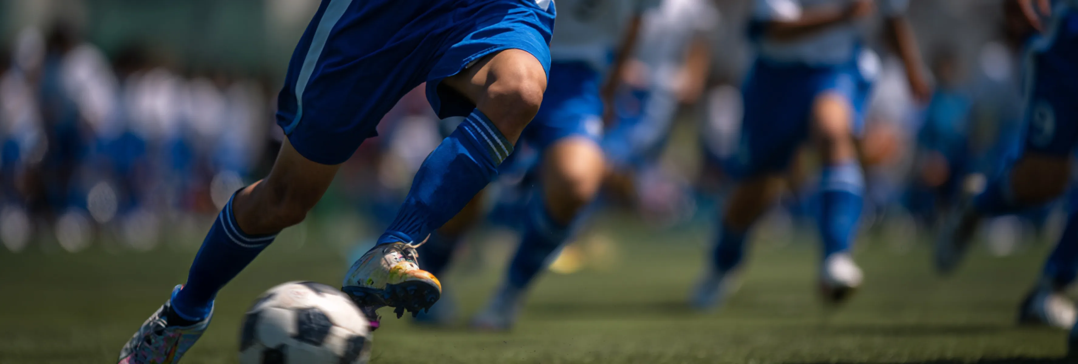 地域スポーツ活動